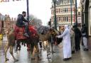 Two camels were seen in Newham High Street