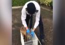 RSPCA animal rescue officer Nick Jonas frees the fox from the plastic bottle stuck on its head.