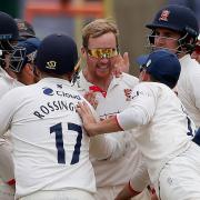 Simon Harmer celebrates with Essex teammates after taking a wicket against Hampshire