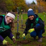 UK Power Networks has partnered with Trees for Cities for the planting scheme
