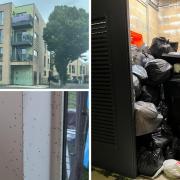 A resident at a Baxter Road new-build has claimed a lack of bin collections caused a fly infestation