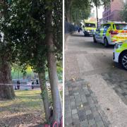 Police were called to a 'large fight' in Stratford Park yesterday evening (August 23)