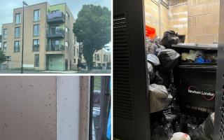 A resident at a Baxter Road new-build has claimed a lack of bin collections caused a fly infestation